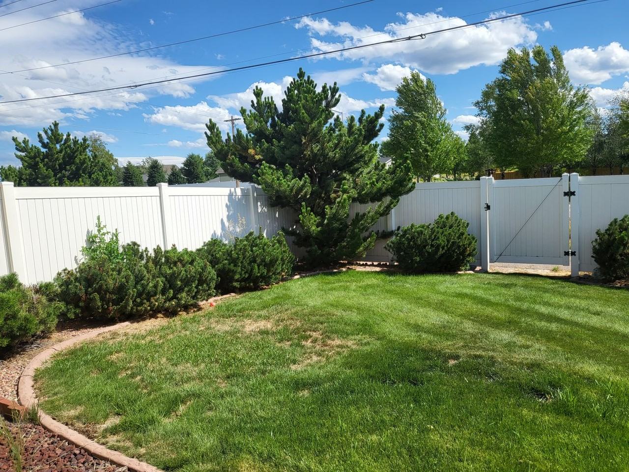 102 Aurich Ave - Photo 3 of 19