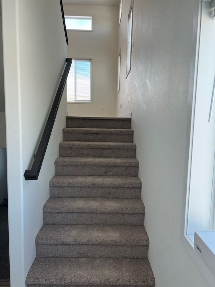 4951 37th Ave S - Photo 3 of 14