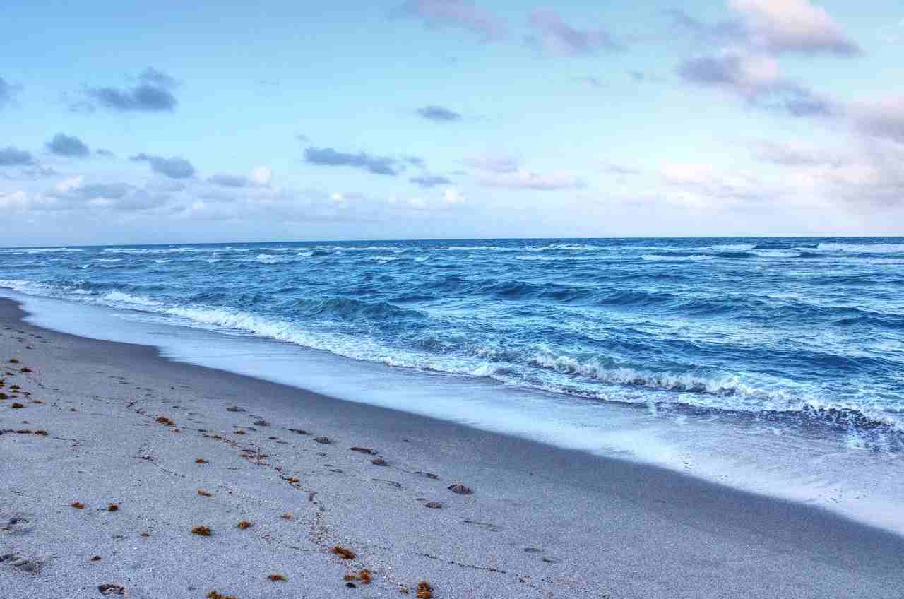 329 Madison St #1075803P - Photo 4 of 30