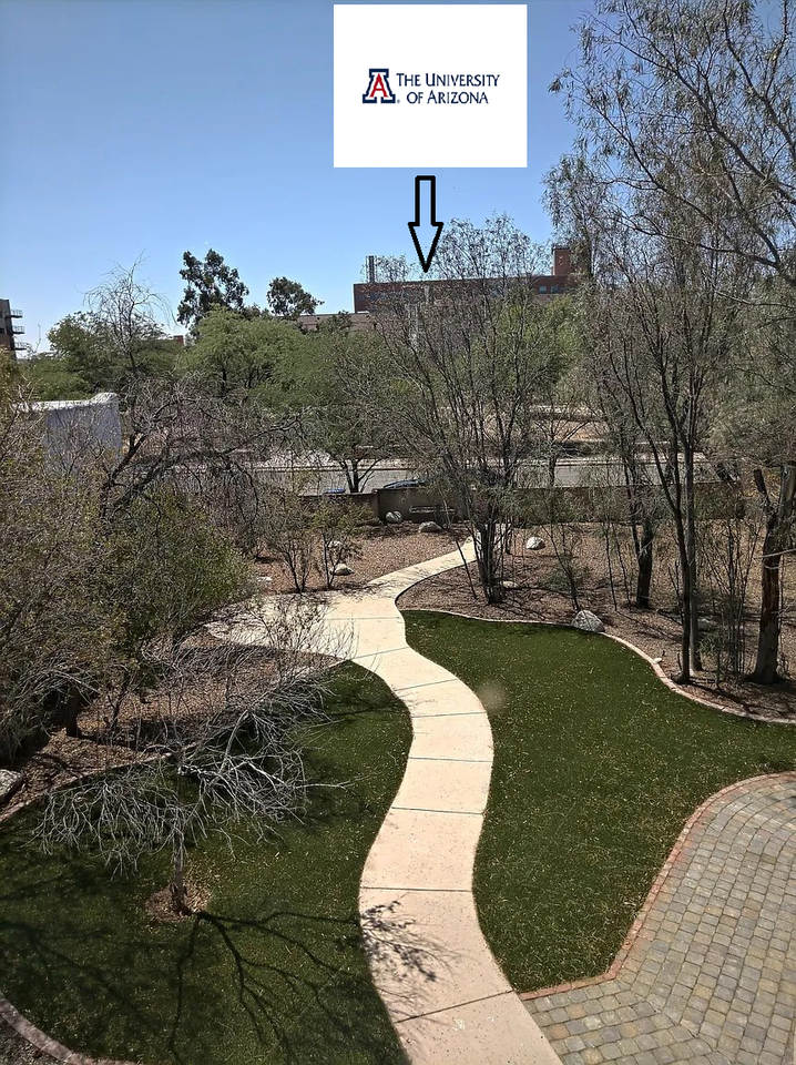 1321 East Mabel Street - Photo 5 of 34