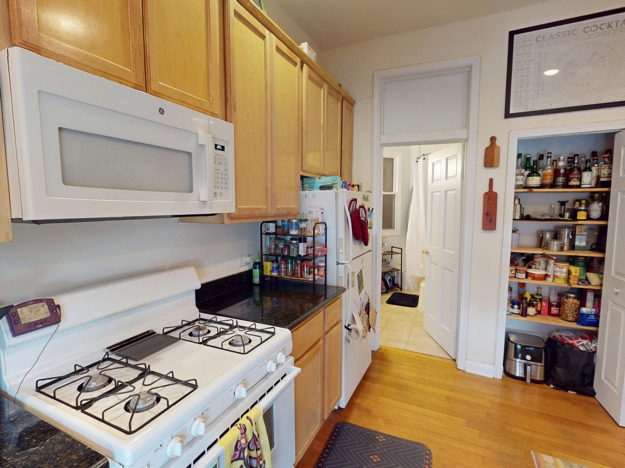 1737 W Addison St #1 - Photo 3 of 14