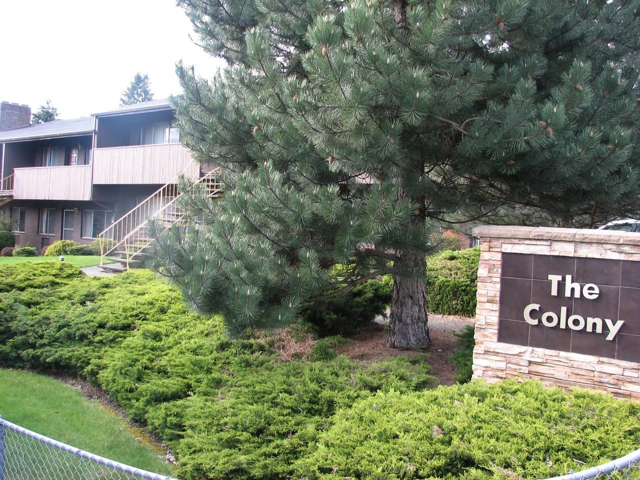 1321 X St - Photo 7 of 10