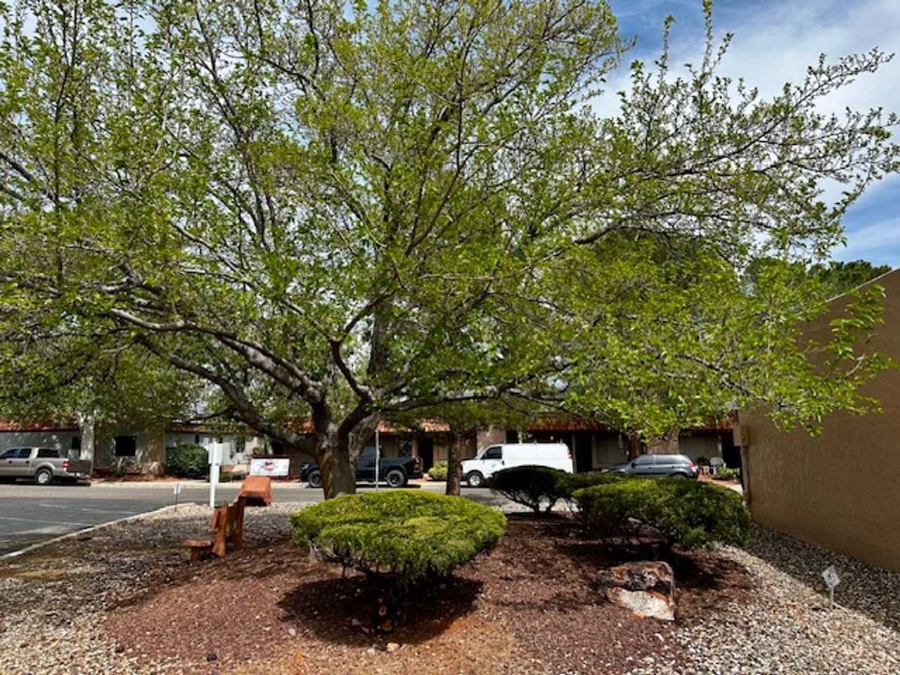 130 Castle Rock Rd #51 - Photo 3 of 14