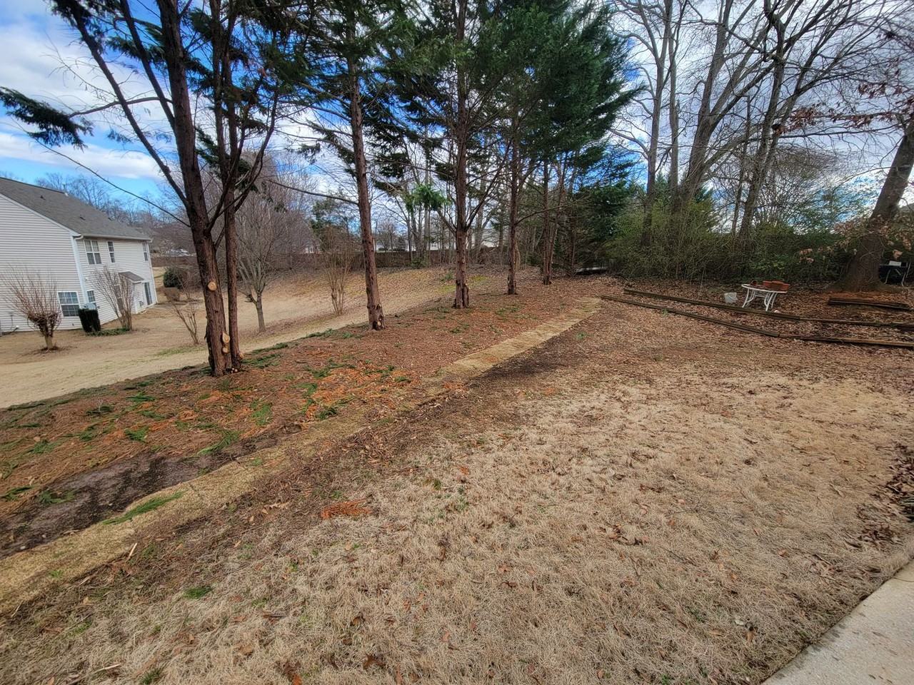 111 Circle Grove Ct - Photo 4 of 22