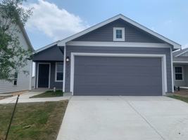 featured image of 8522 Western Tanager