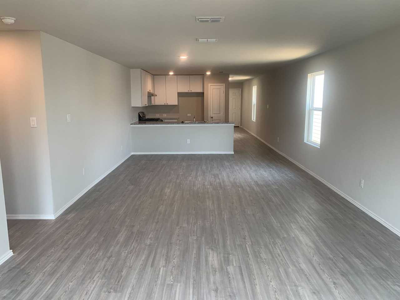 8522 Western Tanager - Photo 6 of 21