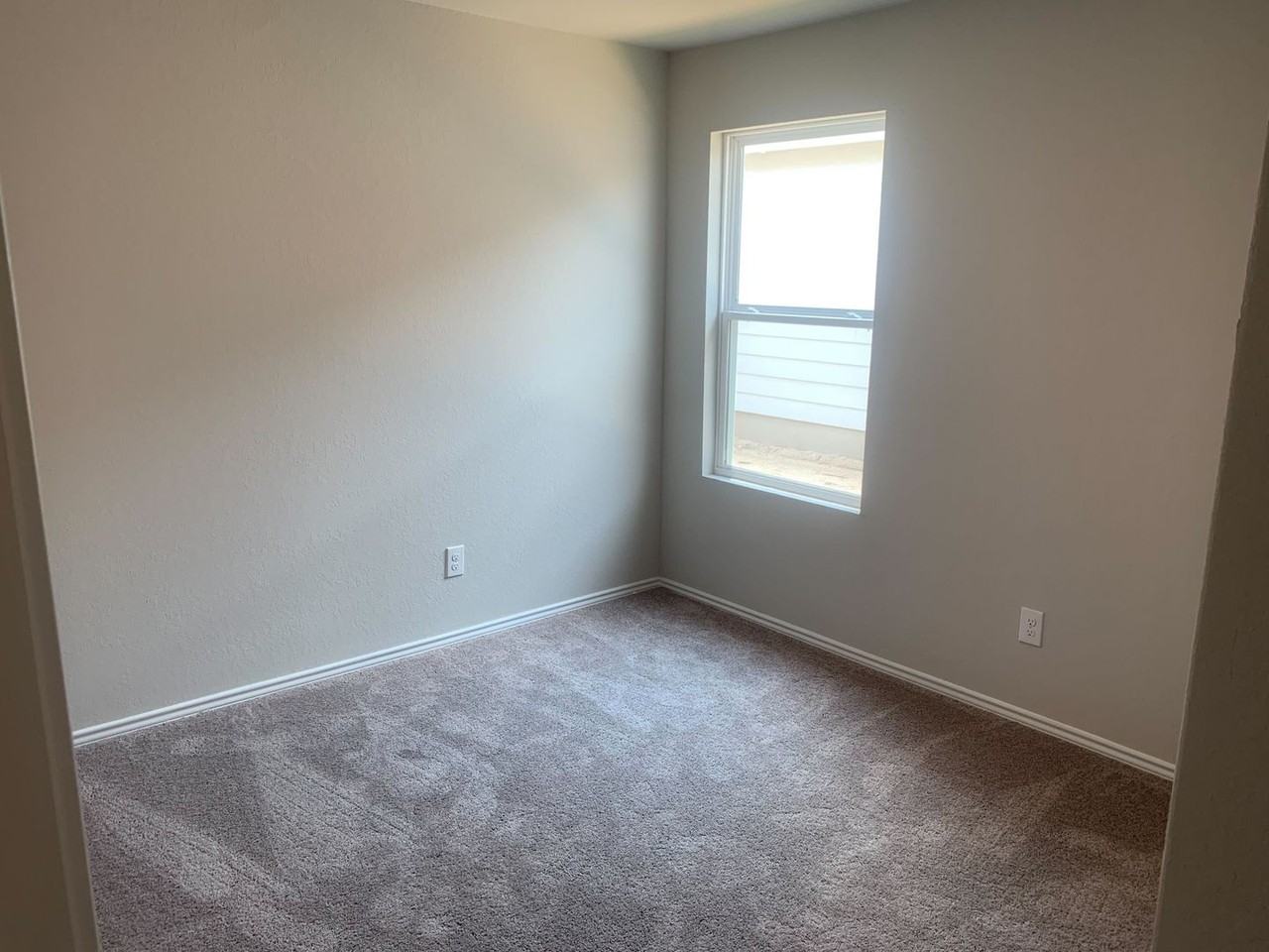 8522 Western Tanager - Photo 7 of 21