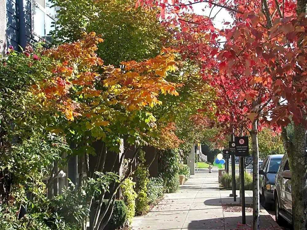 5845 Ne Hoyt St - Photo 2 of 9