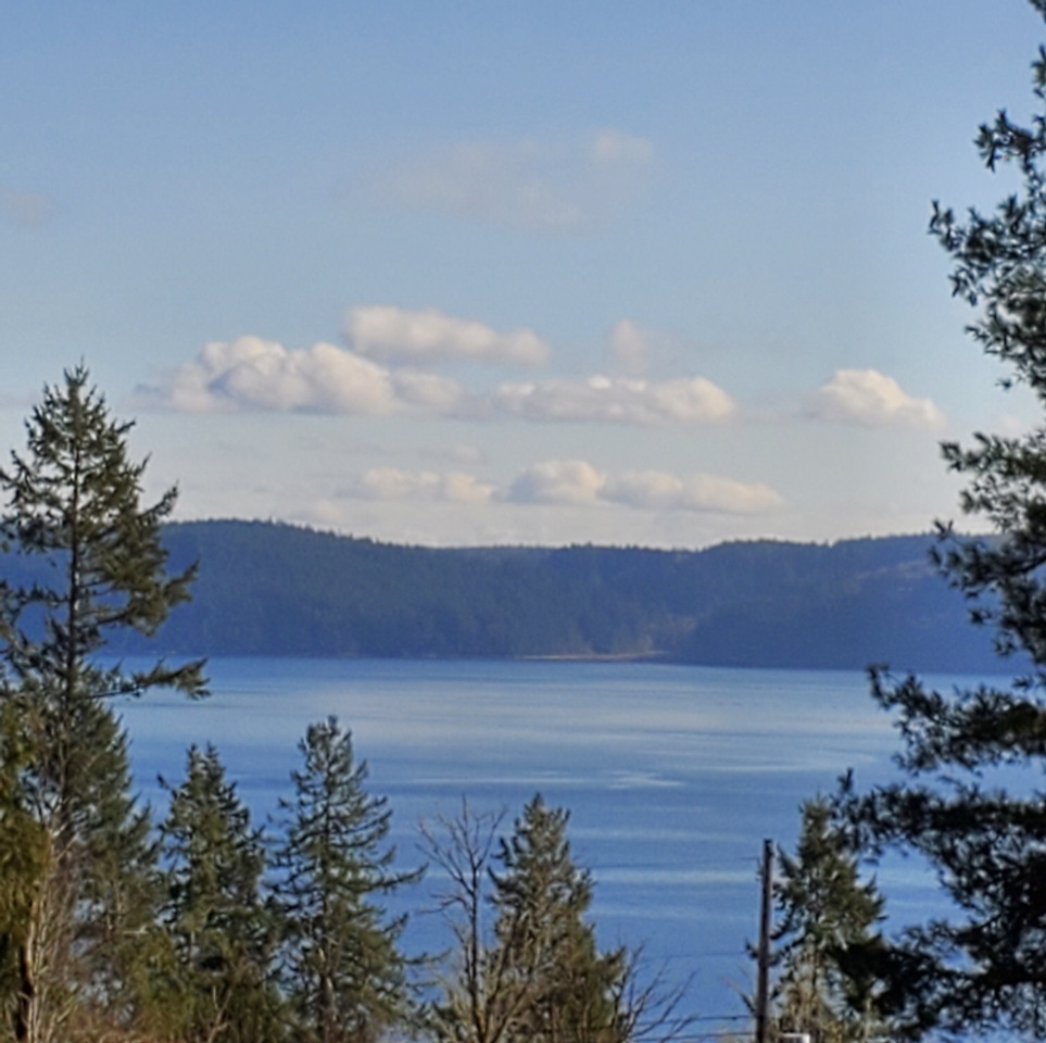 511 Forest Dr - Photo 3 of 32