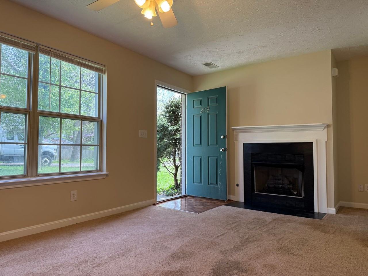 209 E Higgins St - Photo 2 of 16