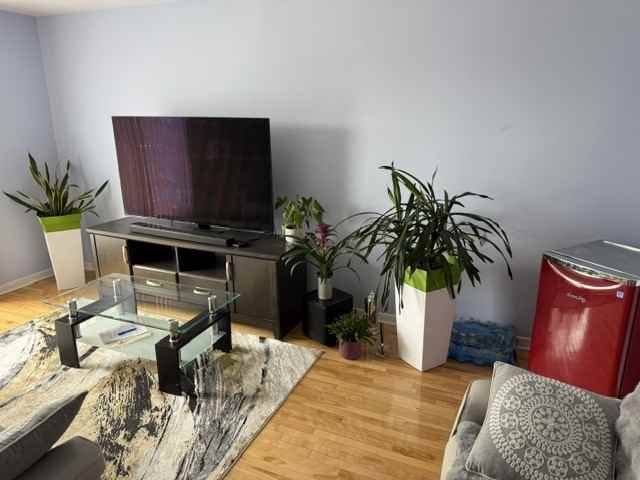 Rue Maritain - Photo 3 of 31