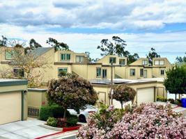 featured image of 10535 Caminito Banyon