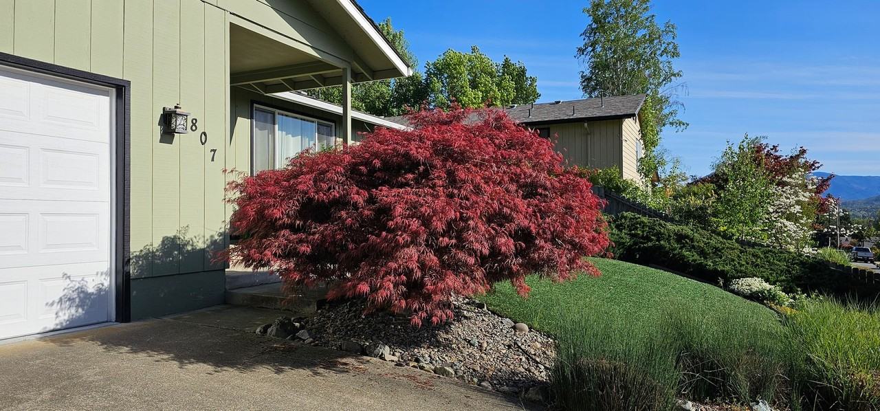 807 Ne Oregon Ave - Photo 2 of 43