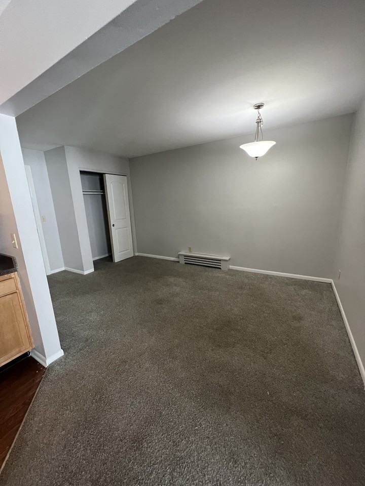 335 East Saint Joseph Street - Photo 4 of 7