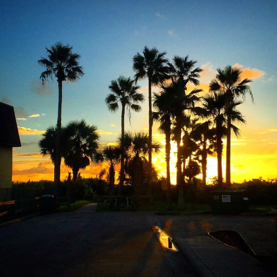 141 California Ave #1044321P - Photo 5 of 12