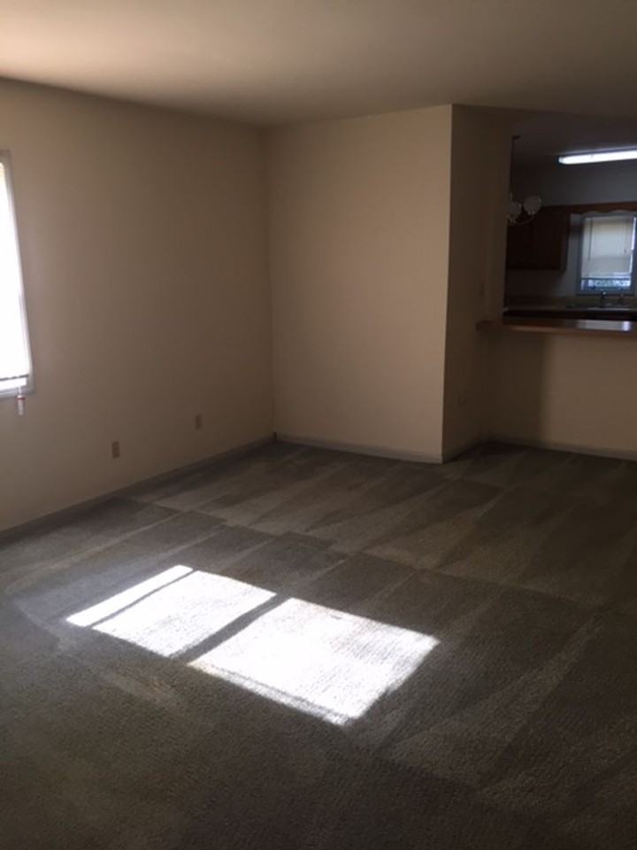 1605 Hinkson Ave - Photo 3 of 17