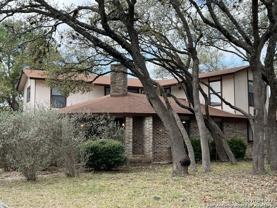 4503 Shavano Woods St - Photo 1 of 1