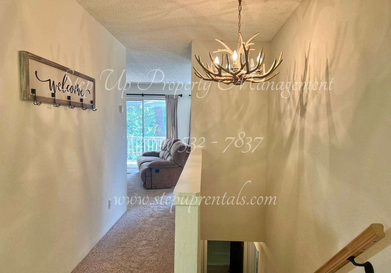 24030 Pine Lake Dr - Photo 3 of 30