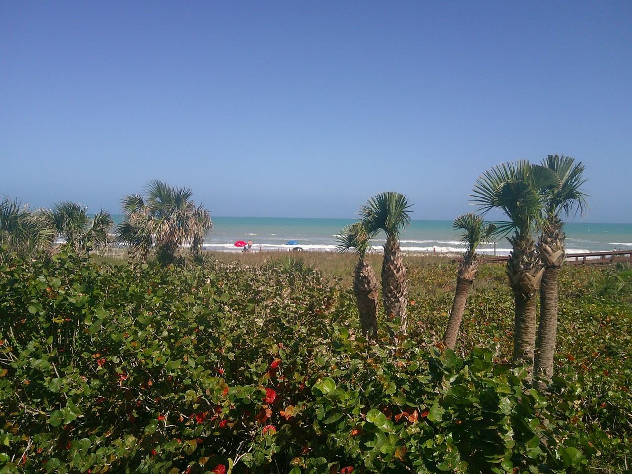 3820 Ocean Beach Blvd #239