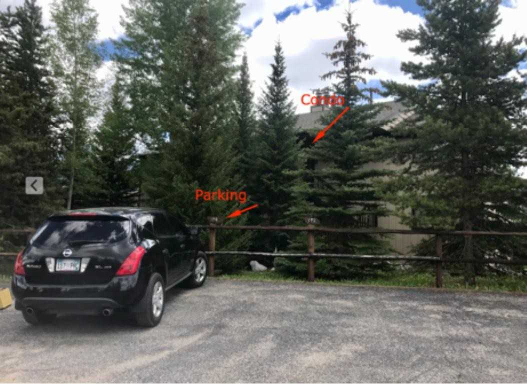 194 Tall Pine Cir - Photo 3 of 18