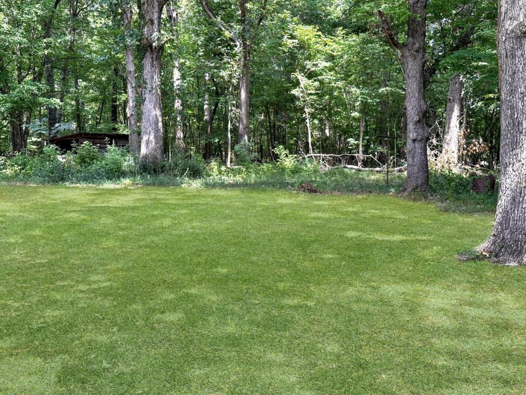 5907 Appomattox Rd - Photo 2 of 13