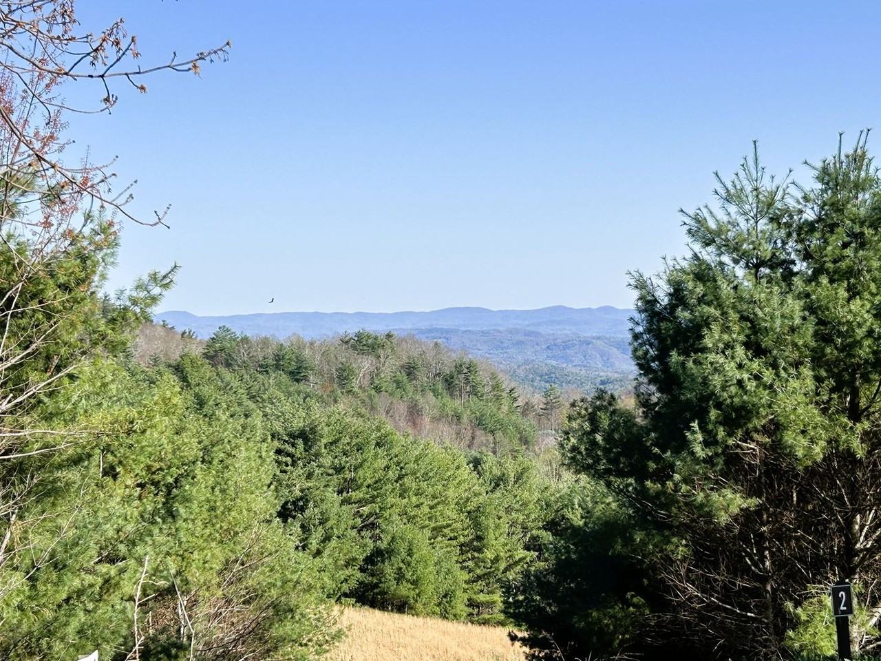 1013 Wildcat Rd - Photo 3 of 24