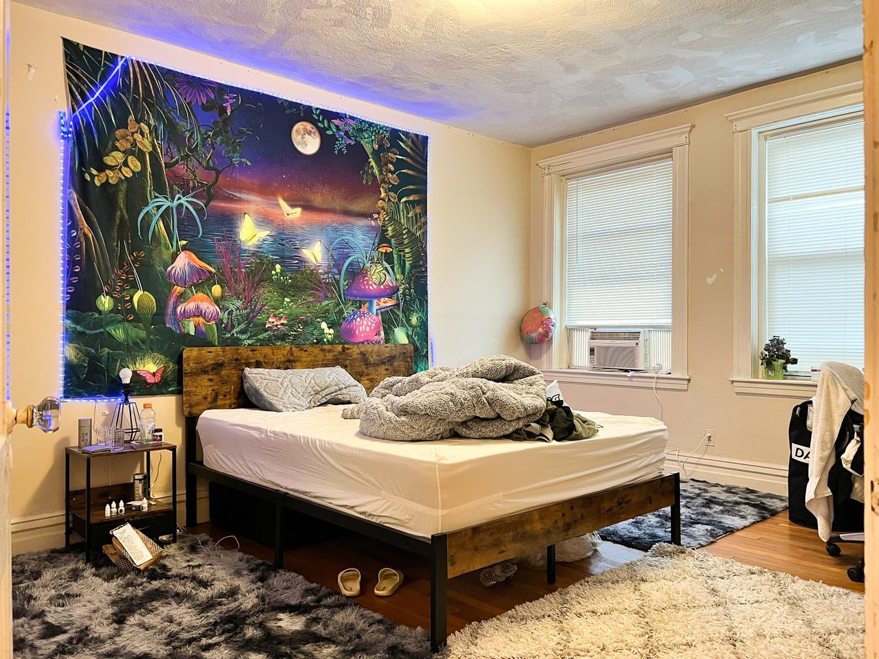 317 Saint Paul Street - Photo 4 of 14