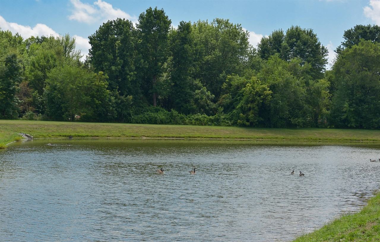 Twin Lakes Apartments - Photo 7 of 50