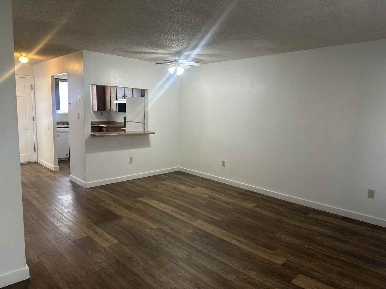 795 Park St #6 - Photo 7 of 20