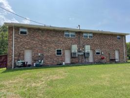 featured image of 600 Filter Plant Frd