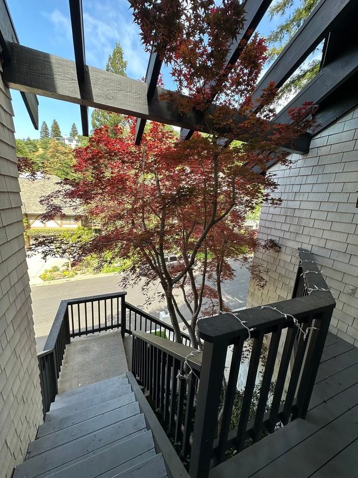 2542 Rolling Hills Ct - Photo 3 of 26