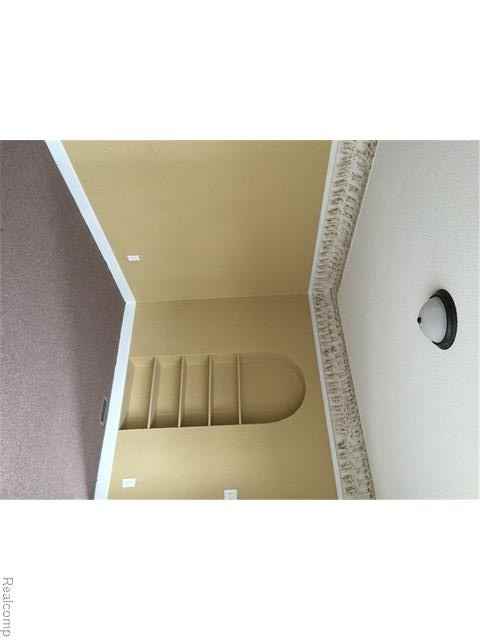 6534 Appoline St - Photo 2 of 7