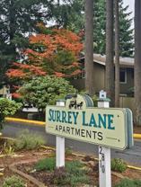 2810 Ruddell Road Southeast - Photo 1 of 1