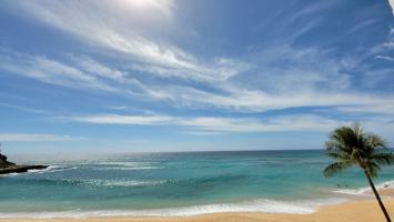 featured image of 84-965 Farrington Hwy #B511