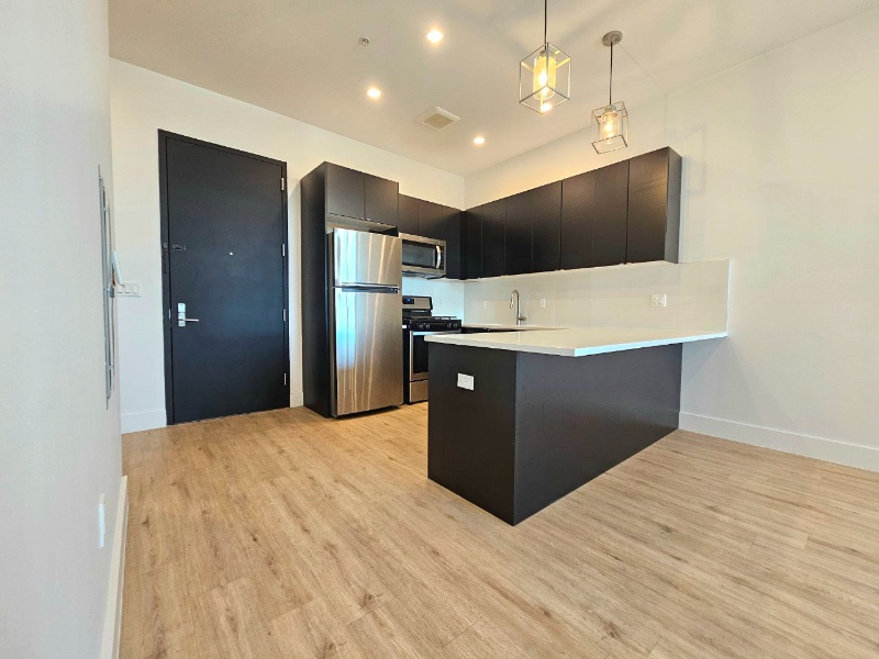 715 Pak Ave #7H - Photo 4 of 16