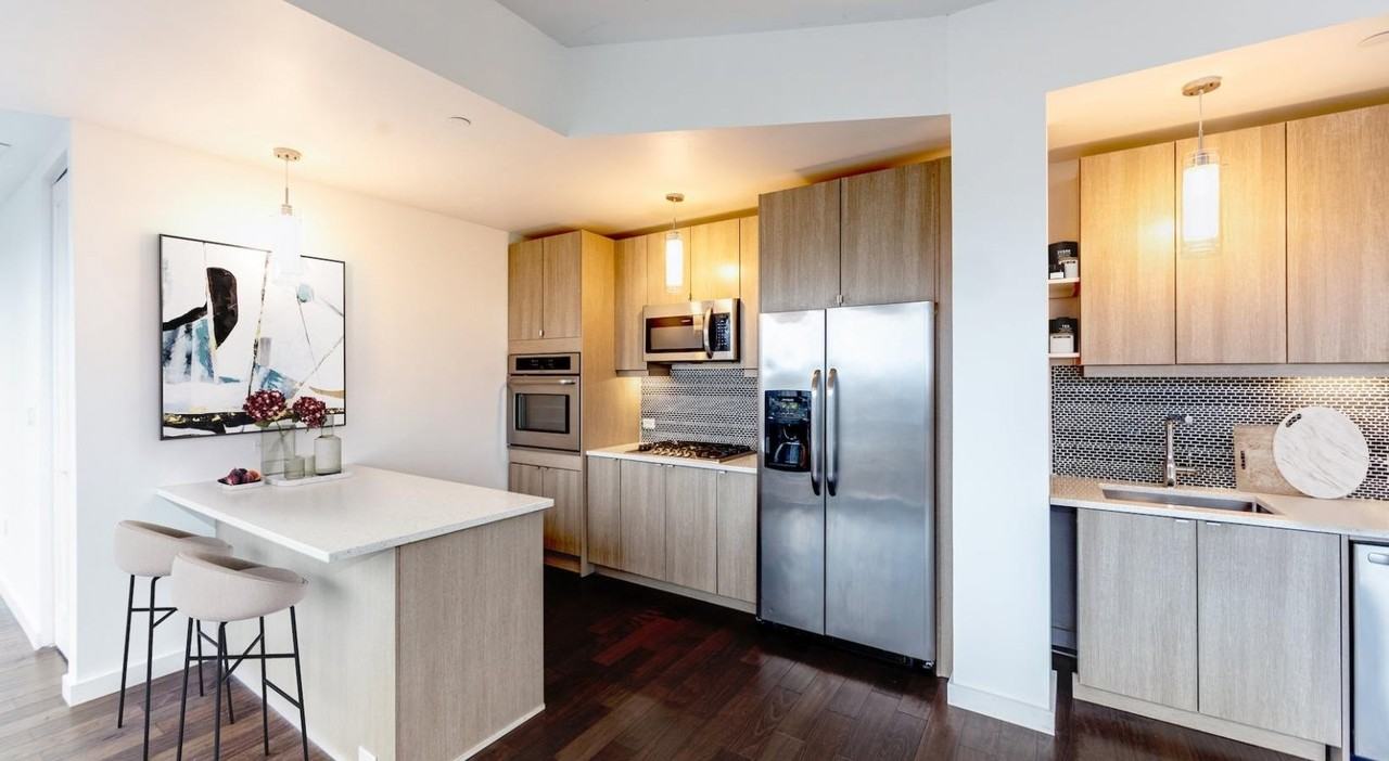 250 S Central Ave #5L - Photo 4 of 14