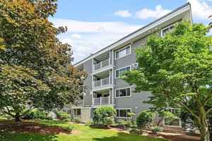 featured image of 255 North Rd