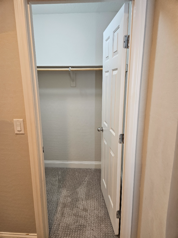 300 Cadence View Way - Photo 3 of 18