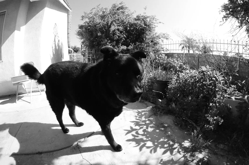 1106 Don Carlos Ct - Photo 3 of 9