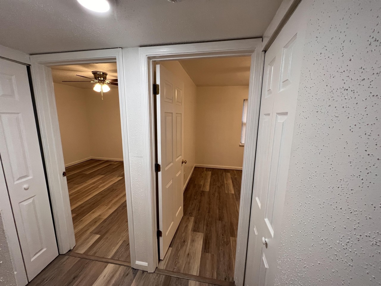 411 East Osborn Sparta IL 62286 - Photo 5 of 9