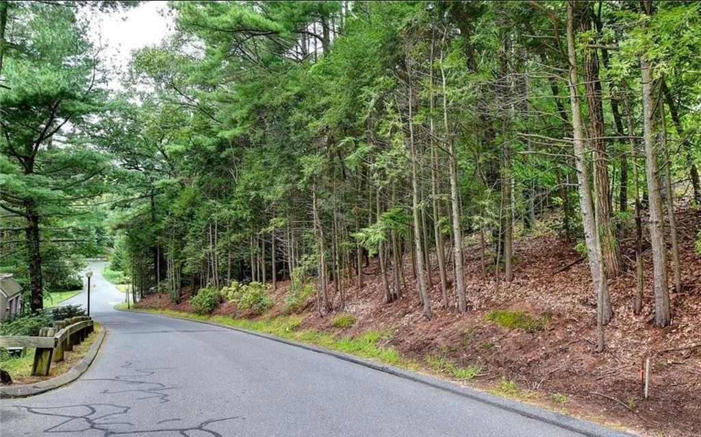 50 Library Ln #50 - Photo 2 of 24