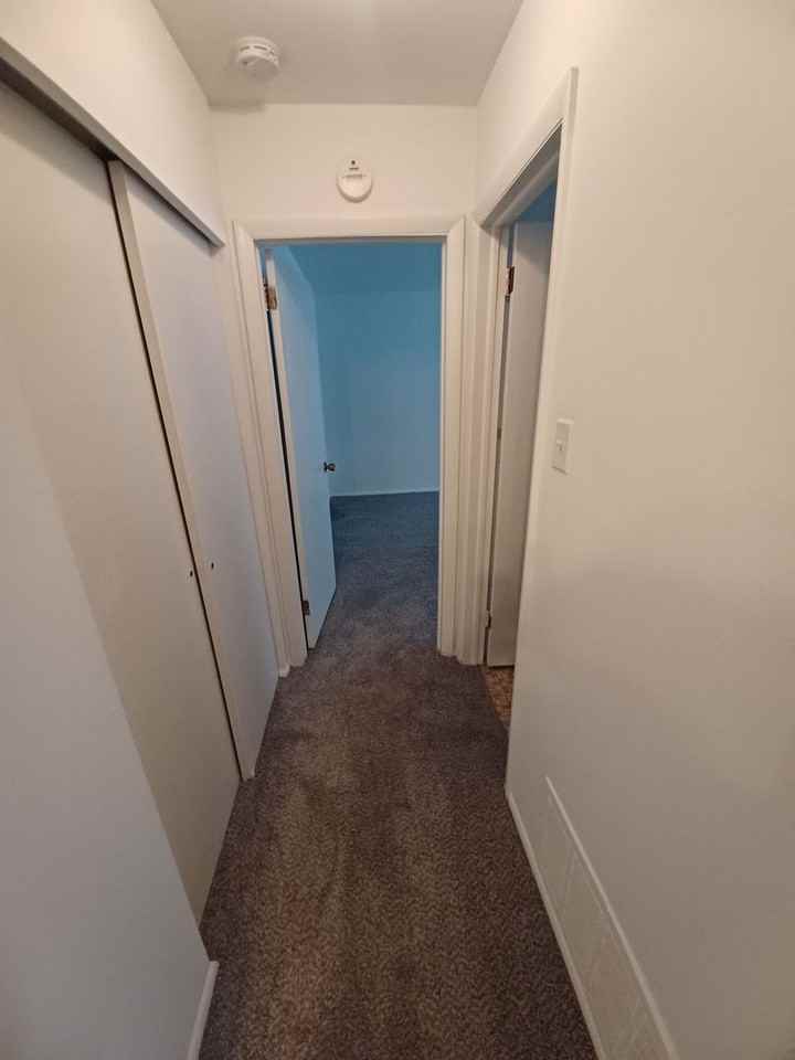 Timber Cove - Photo 5 of 19