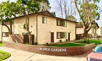 237 - VIP Future, LP (Orange Gardens) - Photo 1 of 1