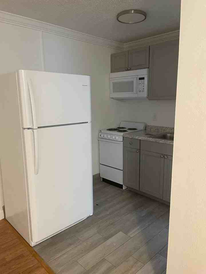 Hampton View Apartment - Photo 6 of 12