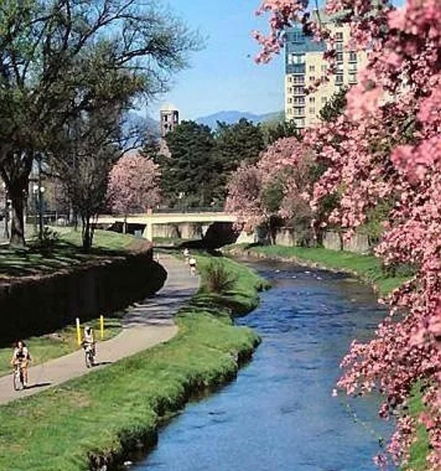 620 E Exposition Ave - Photo 3 of 9