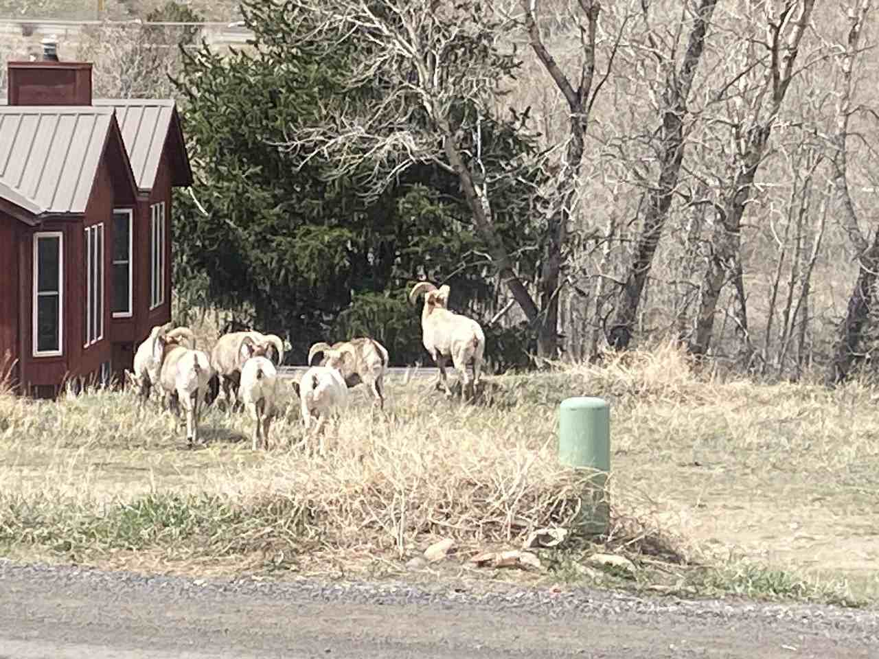 1746 Main St - Photo 2 of 12