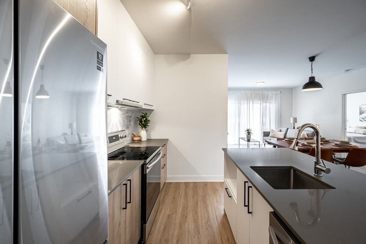 7215 Boul Saint-Michel - Photo 3 of 17