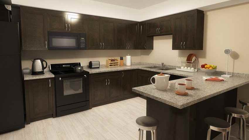 295 Lester St - Photo 3 of 12