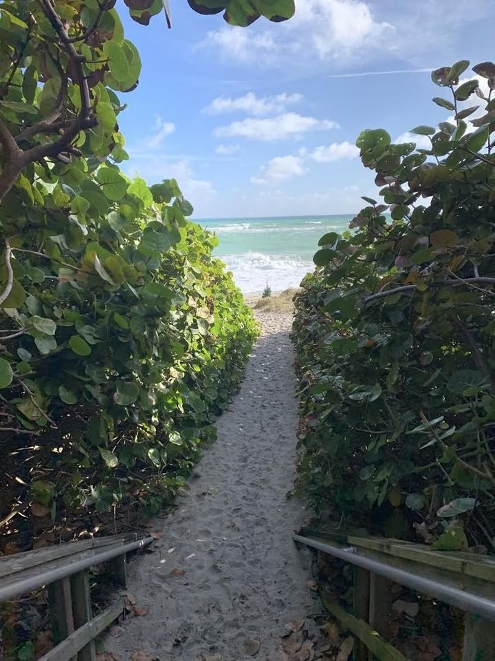 2459 Cardinal Lane - Photo 7 of 22