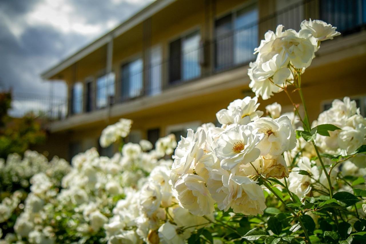 MR2 - 531 N. Marengo Ave - Photo 3 of 3